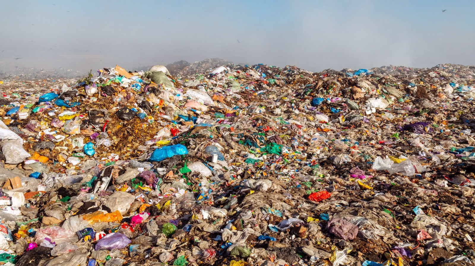 landfill
